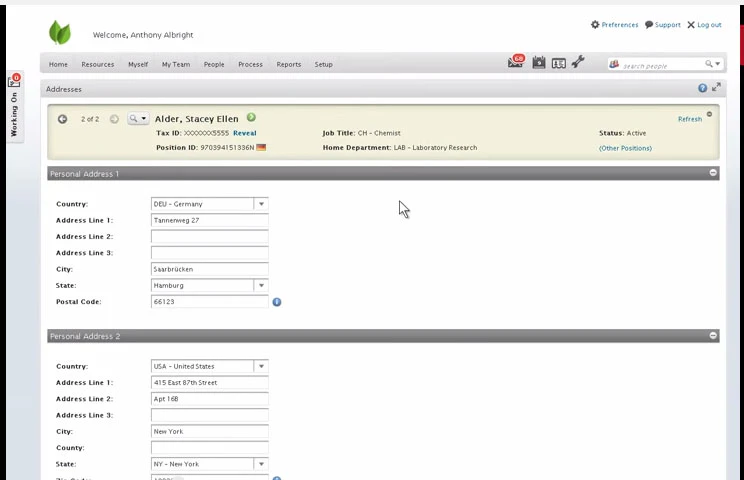 screenshot of ADP Streamline